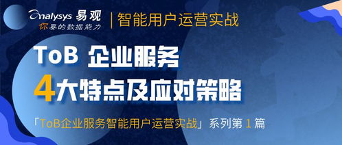 Tob企業(yè)服務的典型特點及應對策略